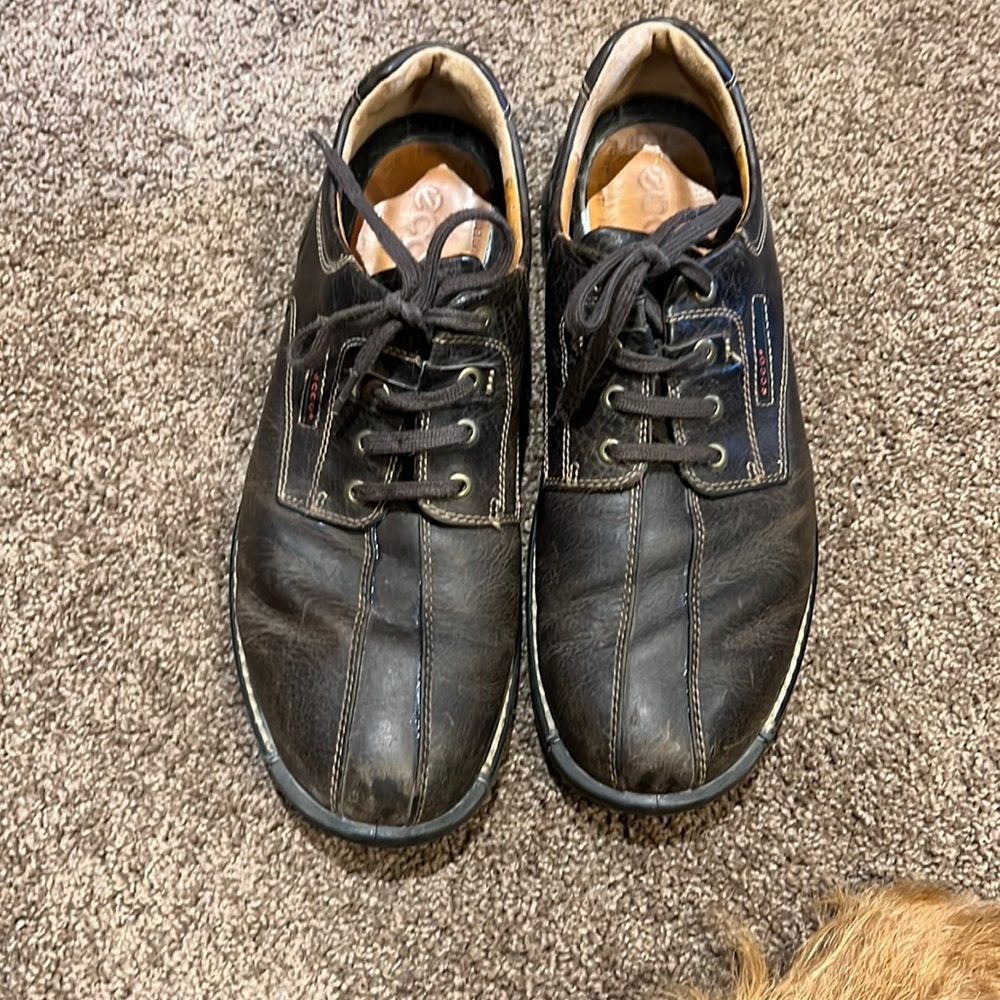 Mens Ecco shoes